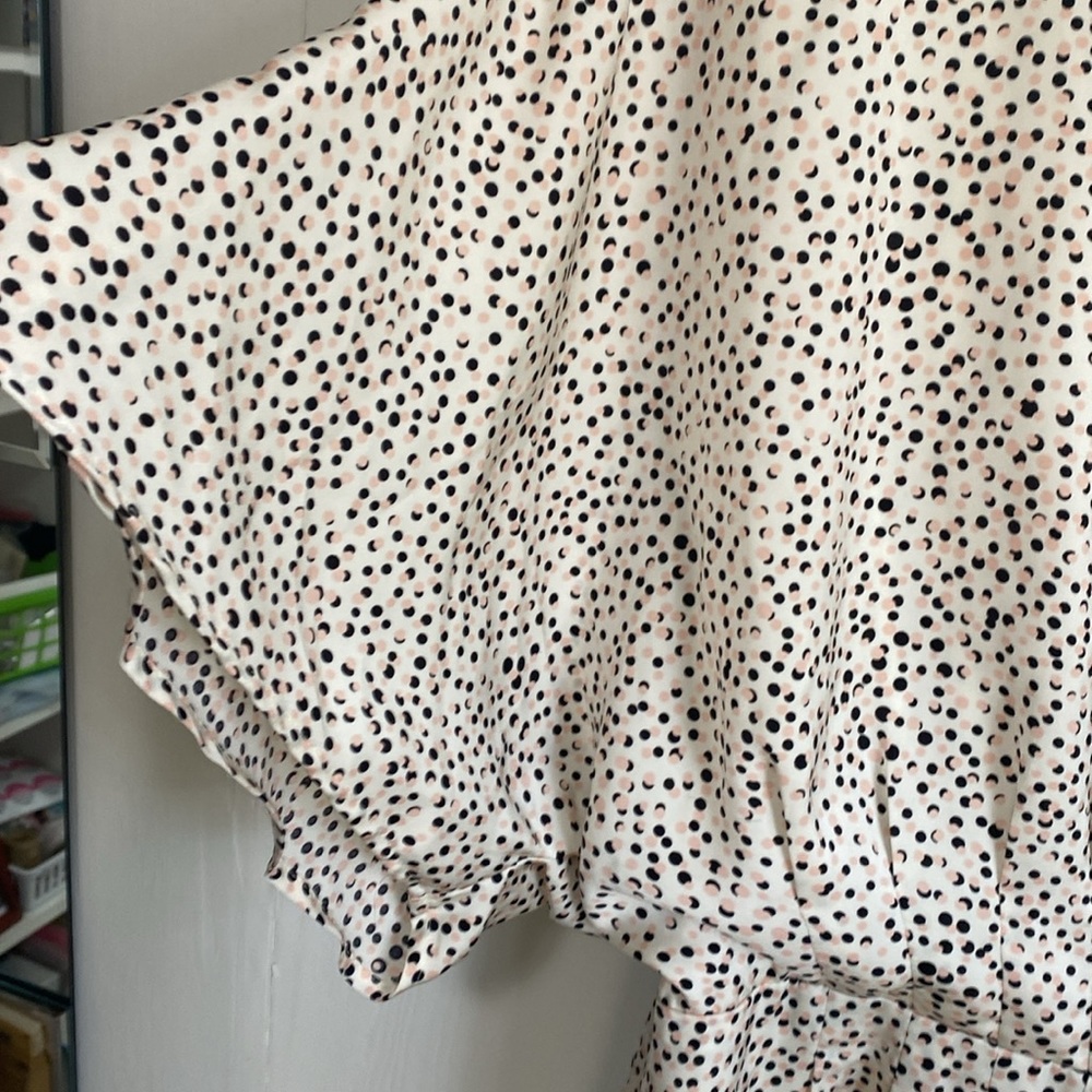 Express Polka Dot Dress - Picture 3 of 5